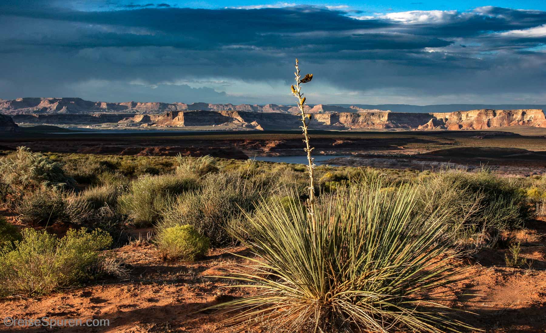 Arizona