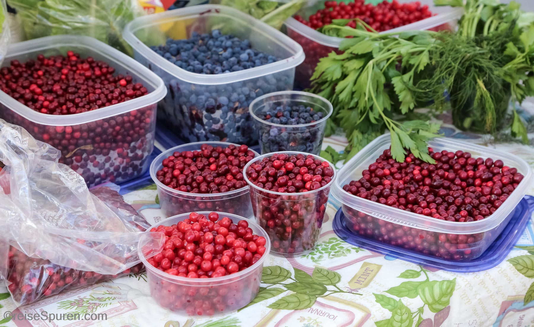 Cranberry und Blueberry