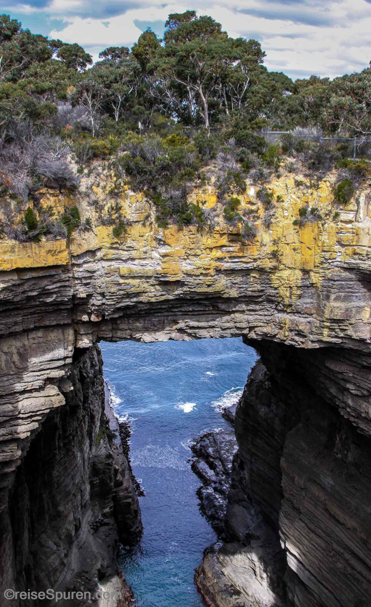 Tasman Arch