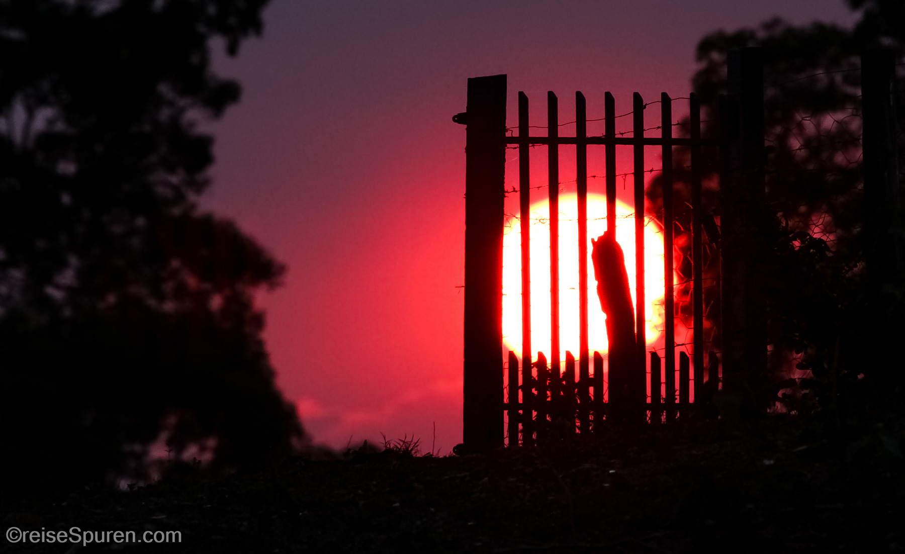 Sonne hinter Gittern