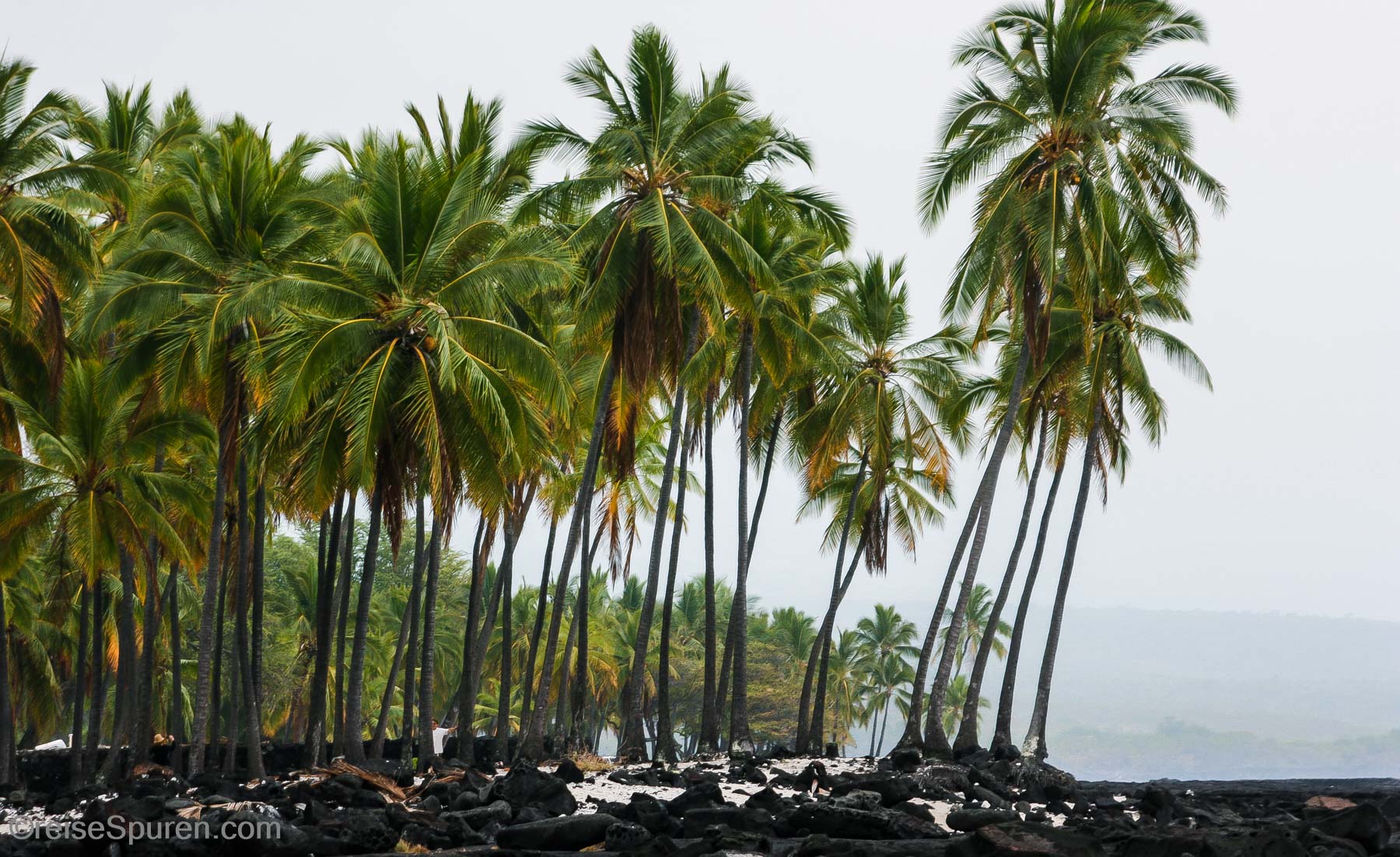 Puuhonua O Honaunau NP