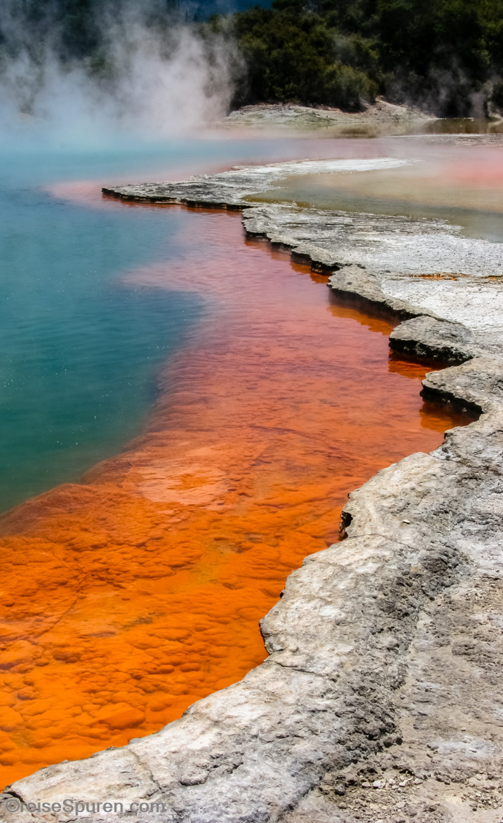 Waimangu Volcanic Valley