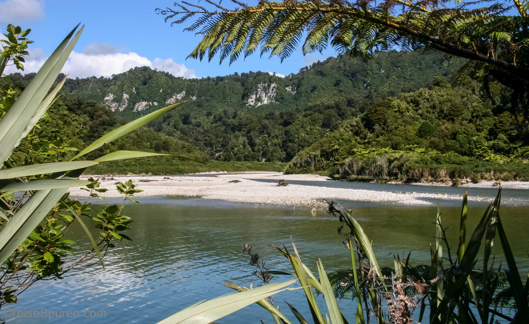 Paparoa NP